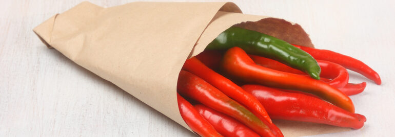 Suspendisse arcu nisl